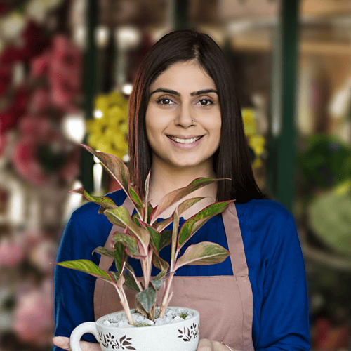 Florist Vendor